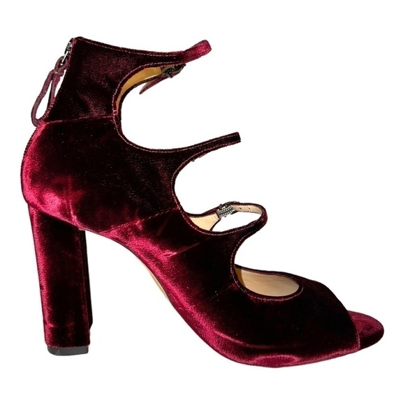 ALEXANDRE Birman Kyle Velvet Mary Jane Block Heels Pumps Burgundy 10 40 - Picture 5 of 13